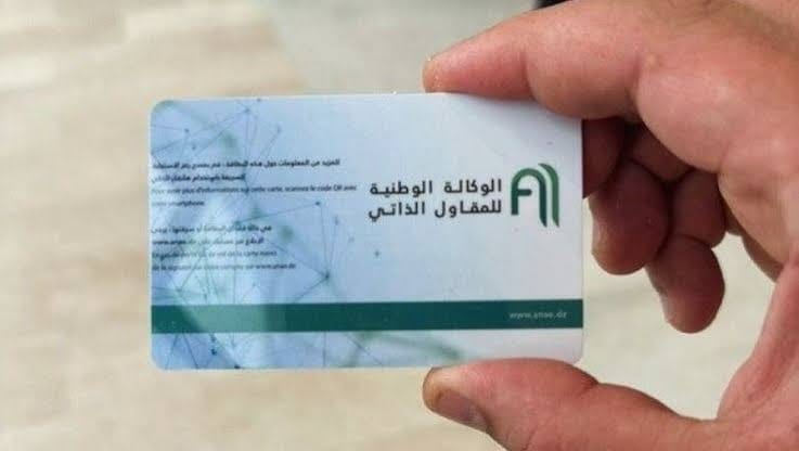 المقاولة الذاتية: مشروع صغير بإمكانات كبيرة في الجزائر