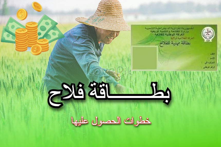بطاقة الفلاح في الجزائر: كل ما تحتاج معرفته