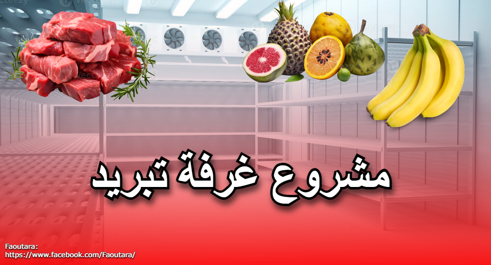 مشروع غرفة تبريد: دراسة كاملة وكيف تبدأ